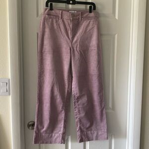 Loft velvet pants